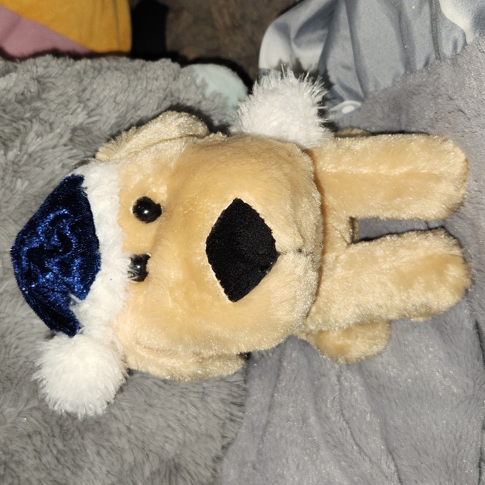 Stuffed puppy plushy with blue scarf and night cap